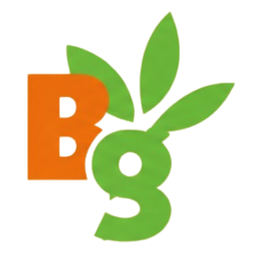 Bholanath Group Logo